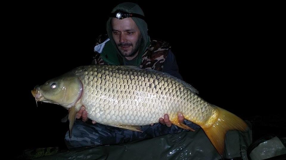 2015 - 11099773157424521618578149799350n.jpg